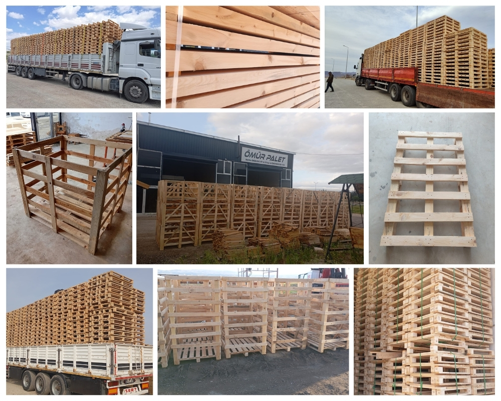 Saint-Gilles Houten Kisten, Europallets Groothandel Kopen